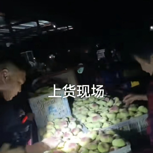 蒙阴县陆地蟠桃