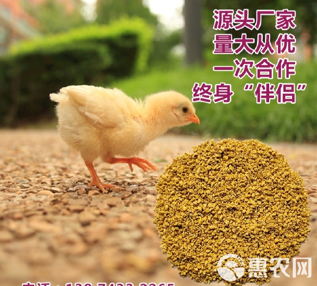 湖南小鸡全价配合料高蛋白爱吃肯长不拉稀（破碎型）80斤一包