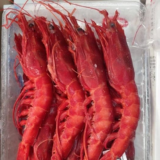 上海刺身红魔虾 虾脑堪称海鲜界的冰淇淋