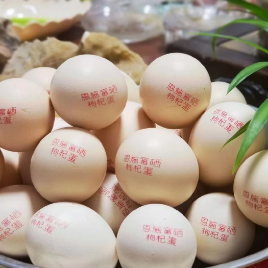 恩施市恩施枸杞鸡蛋