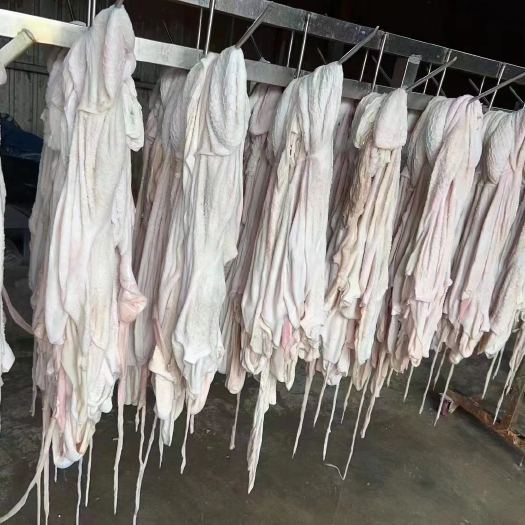 河间市免洗羊净肚