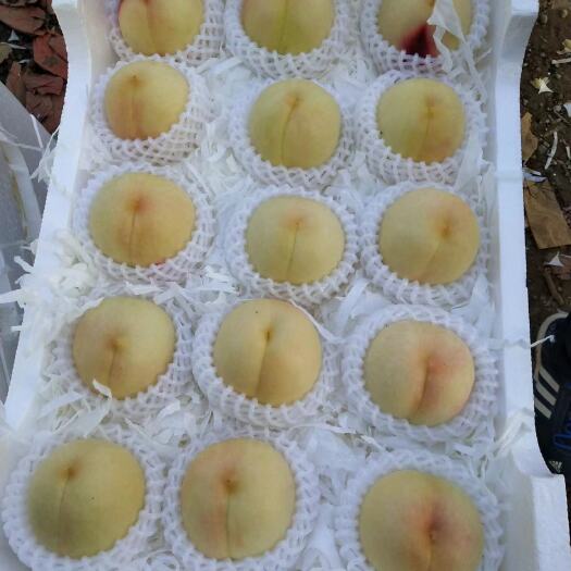 新沂市水蜜桃