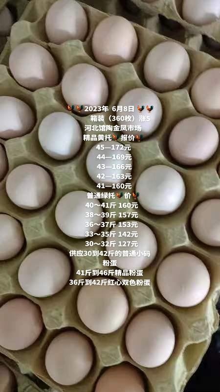 馆陶县大量供应30－41斤普通小码粉蛋，41－45斤精品大码粉蛋