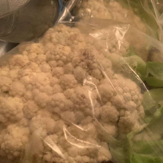 沛县白菜花 已上市