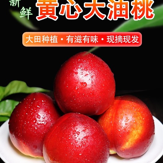 新绛县黄心油桃新鲜水果黄肉大果当季整箱包邮脆甜桃子批发非毛桃水蜜桃
