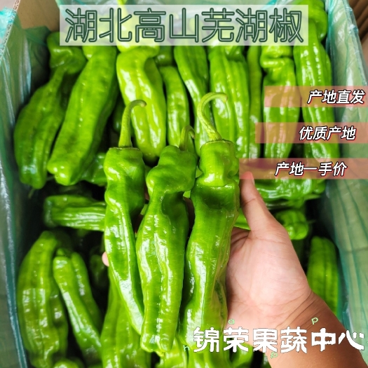 湖北芜湖椒(宜昌高山)