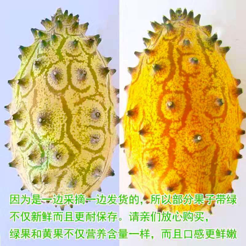 现货当天发火参果灭霸品种非洲刺角爪火星果当季奇特水果一件代发