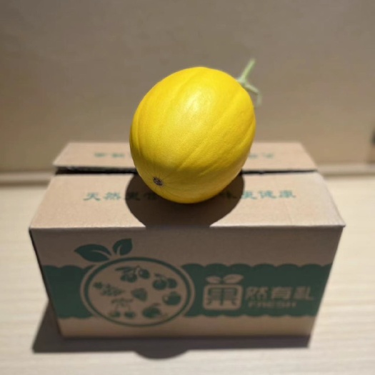 【代发】陕西黄金蜜香瓜，表皮金黄，果肉细嫩香甜