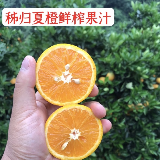 秭归县【秭归夏橙】精品鲜榨果汁水果脐橙一件代发