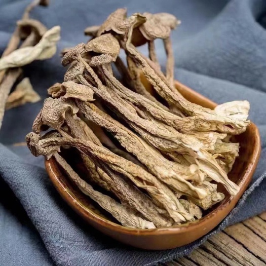 昆明鹿茸菇一手貨源大貨批發(fā)