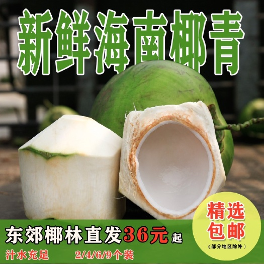 【包邮】新鲜当季海南椰青现摘速发9个装精选健康低卡孕妇水果