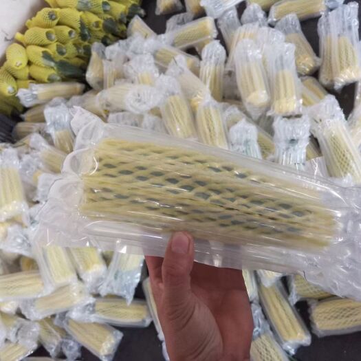 【山东寿光头茬羊角蜜一件代发包邮】原产地直采直发,日发货万单