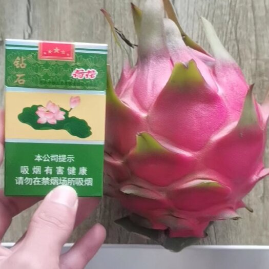 遂溪县金都一号，红心火龙果