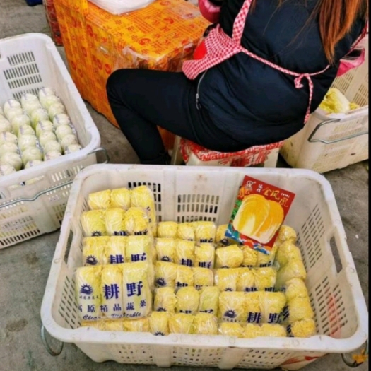 张北县黄心娃娃菜