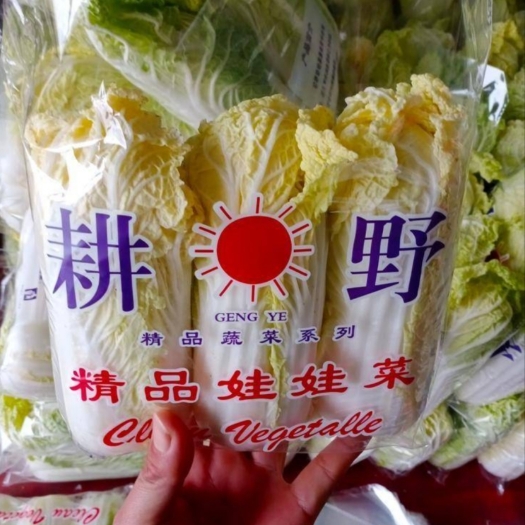 张北县黄心娃娃菜