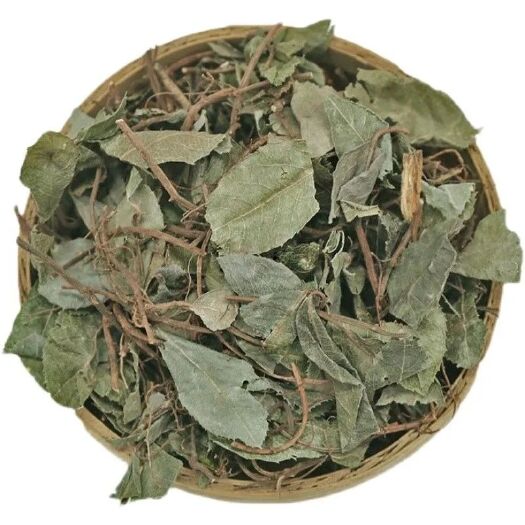 亳州新品 矮地茶 新货中药材矮地茶 草药批发