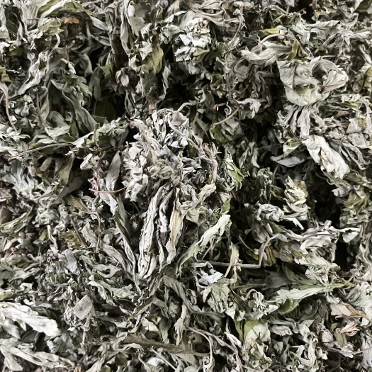 成都艾叶 今年新货 产地直销