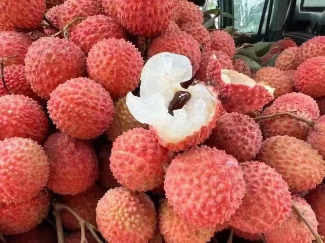 高州市桂味荔枝 荔枝 产地专业代办 支持一件代发