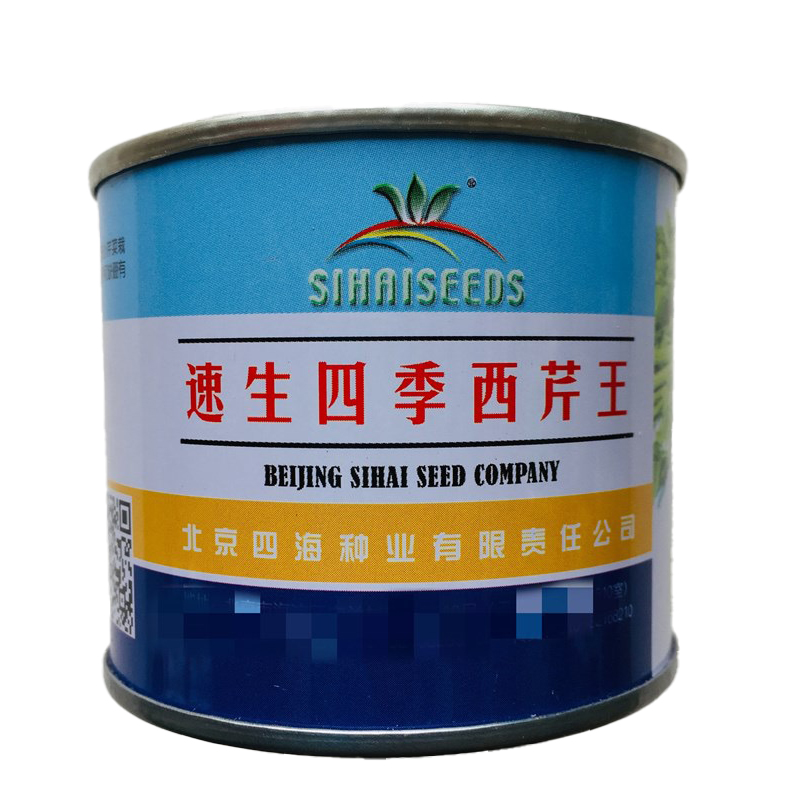 武汉北京四海种业速生四季西芹王芹菜种子西洋芹种子纤维少抗热抗病强