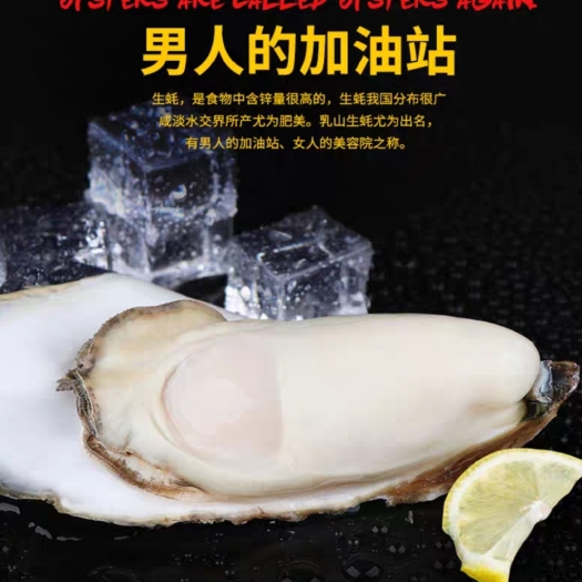 大连大连新鲜生蚝（2000斤起批发）