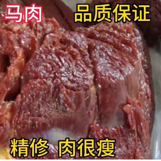 马肉新鲜马腿肉精修去皮去油肉瘦质量好，不打水证件齐全，好货