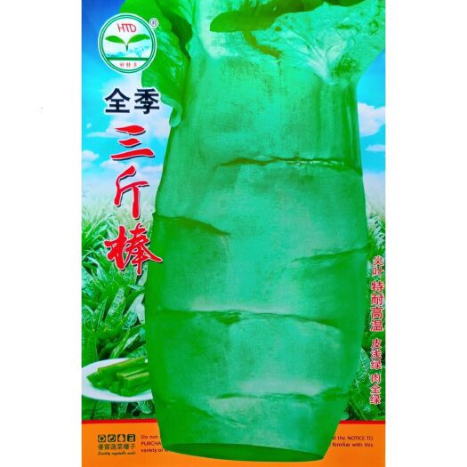 怀化三斤棒四季尖叶莴笋种子，浅绿皮，嫩绿肉，大尖叶，香莴笋种子