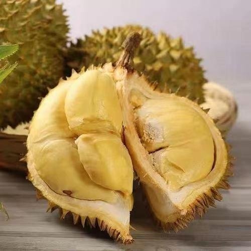凭祥市A6级金枕榴莲一手货源保质保量支持电商平台一件代发