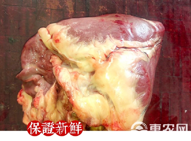 河北驴肉现杀新鲜驴心1500g真空包邮特产驴肉生驴心生驴心脏