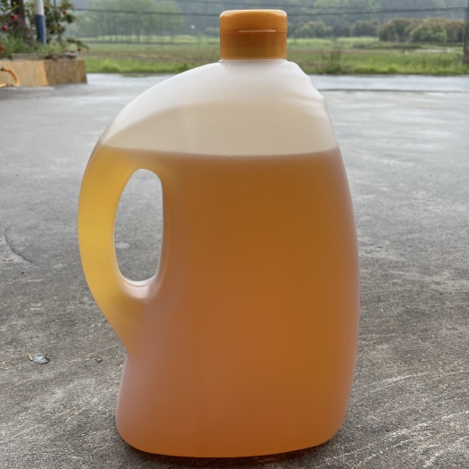 桂林野生茶油 批发老树山茶油 2023新茶籽油 纯茶油