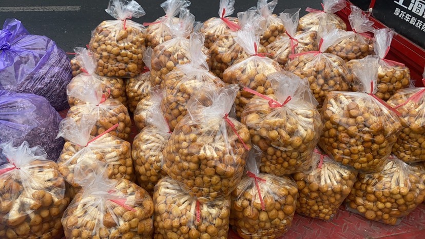 成都滑子菇人工种植 鲜货全国各地均可发货