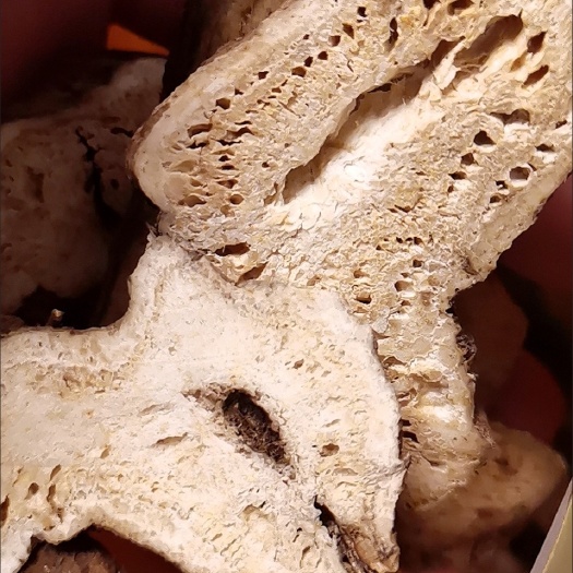 威宁县【多仓发货】白术  中药材白术 干白术  农家自晒 包邮当天