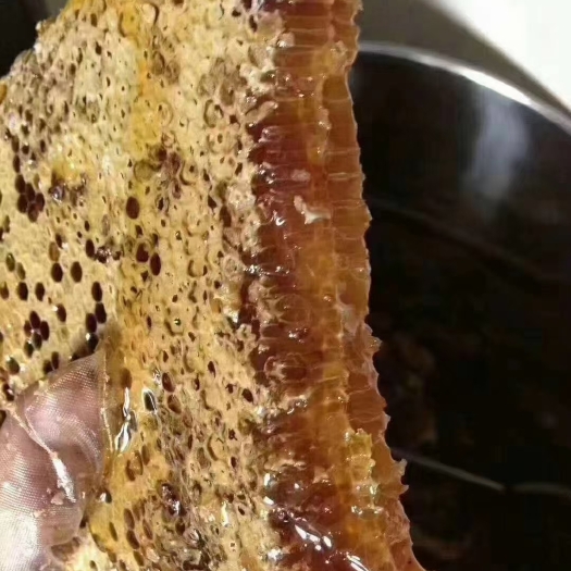 永嘉县高山土蜂蜜价格便宜质量保证