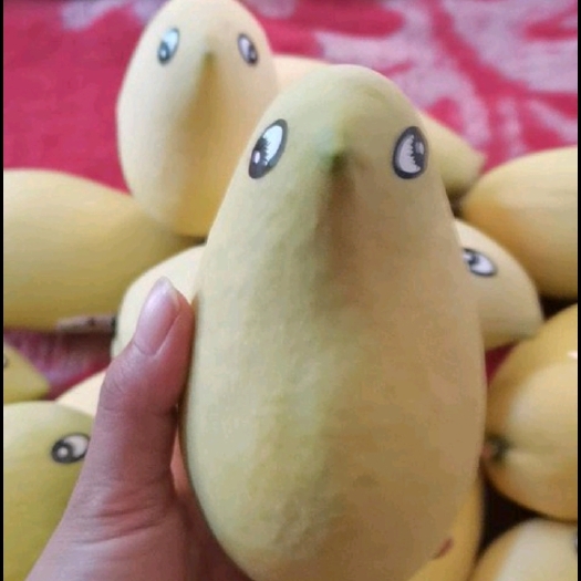 保山芒果