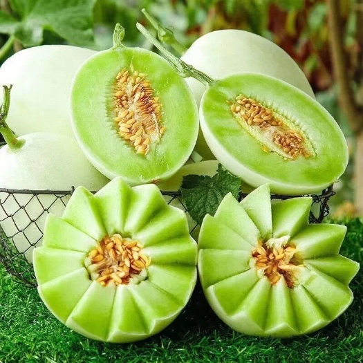 昆明玉菇甜瓜【坏损包赔包邮】甜而不腻，夏天吃上一口幸福感爆棚