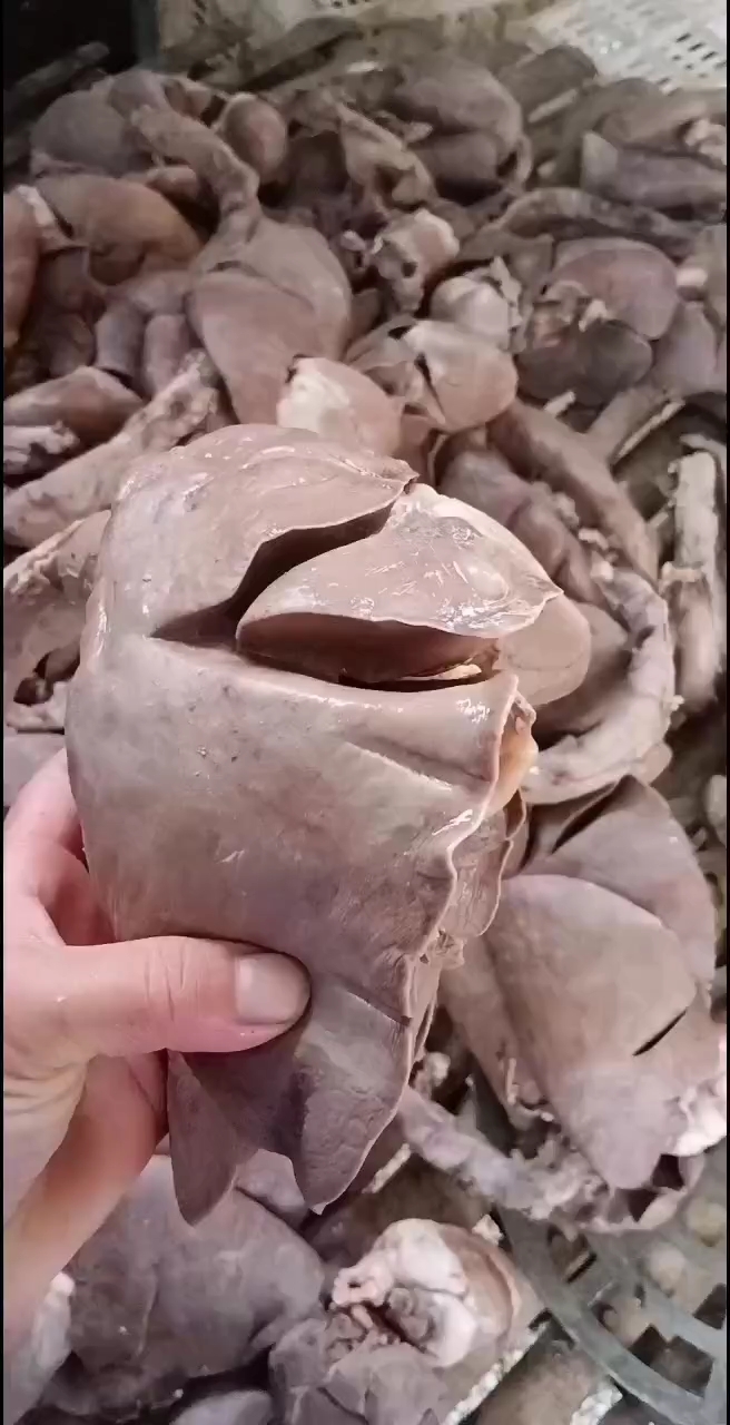 大厂熟羊肺,诚信经营,欢迎选购