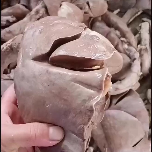 大厂熟羊肺，诚信经营，欢迎选购