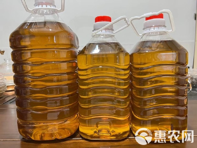 野生茶油 批发老树山茶油 2023新茶籽油 纯茶油