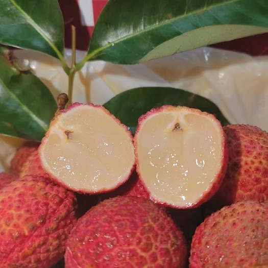 陵水县海南无核荔枝