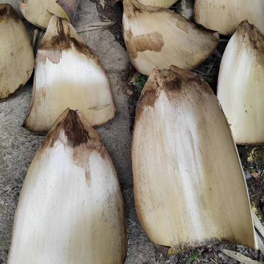 筠连县苦笋壳，甜竹笋壳，当季新货，全干。质量有保障