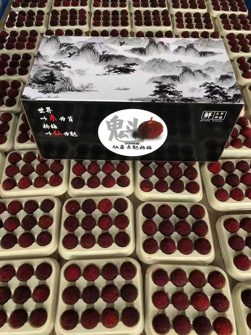 仙居东魁杨梅乒乓球大小江浙沪顺丰空运冷链包邮