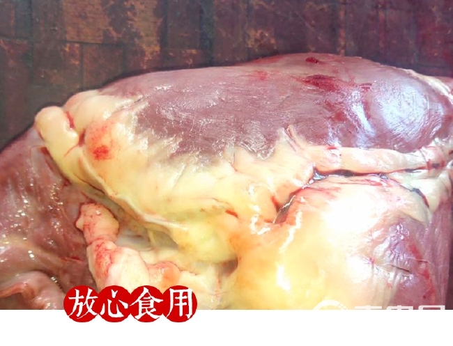 河北驴肉现杀新鲜驴心1500g真空包邮特产驴肉生驴心生驴心脏