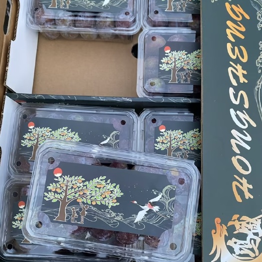 广州蜂糖李