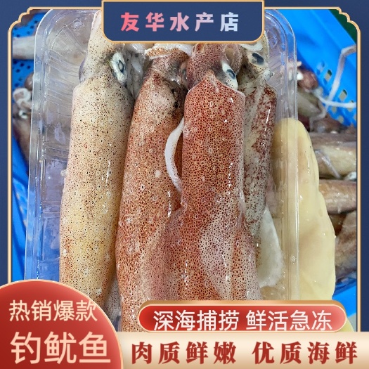 鱿鱼 小管钓鱿鱼活冻冷冻 大鱿鱼不含水不泡水400克一盒