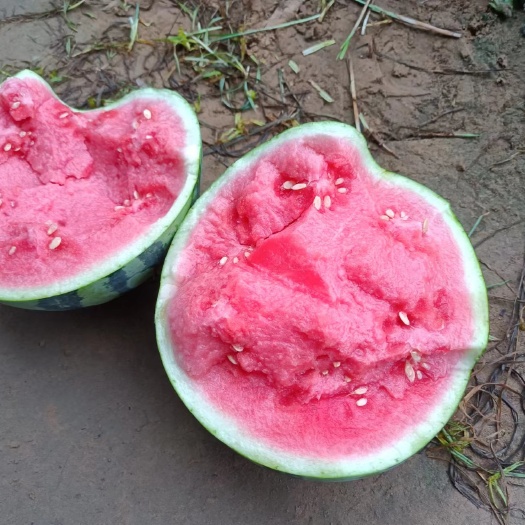 万荣县山西万荣千亩黄河滩西瓜美都，甜王大量上市，货源充足，保证质量