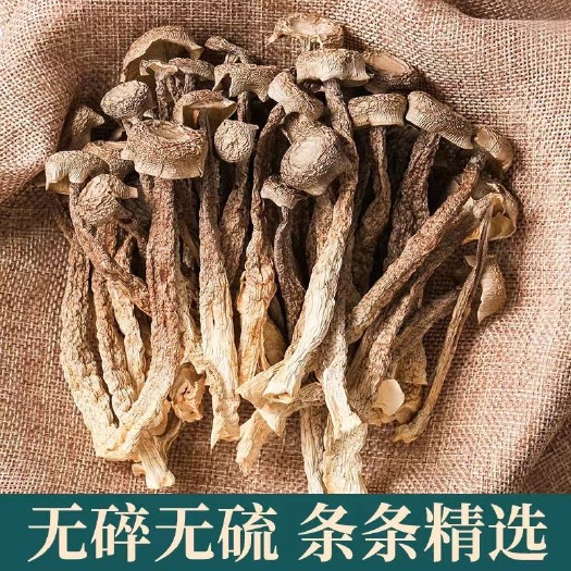 昆明精品无硫鹿茸菇批发零售可一件代发
