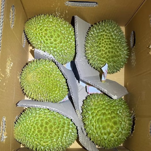 广州榴莲