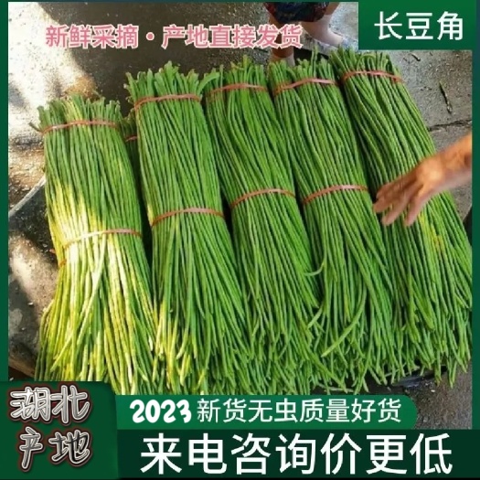 枝江市长豆角/长豇豆/湖北优质
