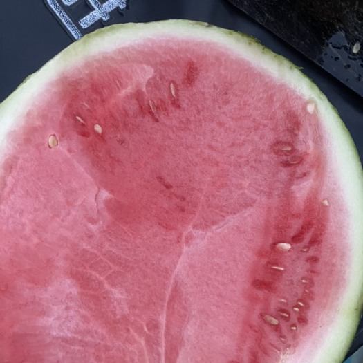 南通无籽西瓜