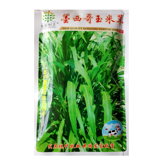 武汉墨西哥玉米草四季夏季牧草种子以鸡鸭牛羊猪饲料春夏养殖牧草