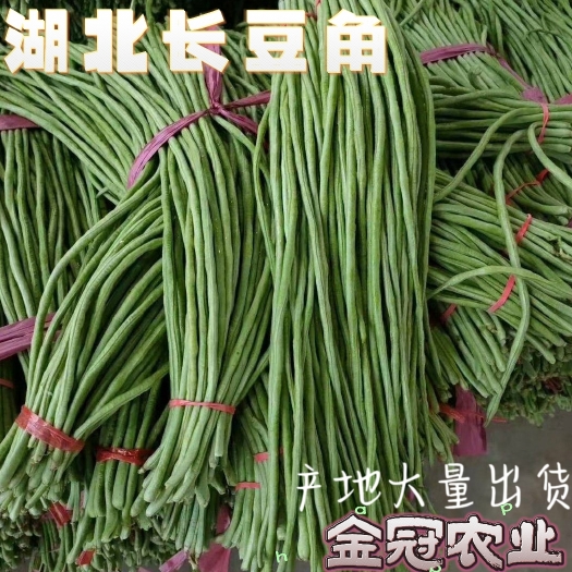长阳县湖北长豇豆，长豆角